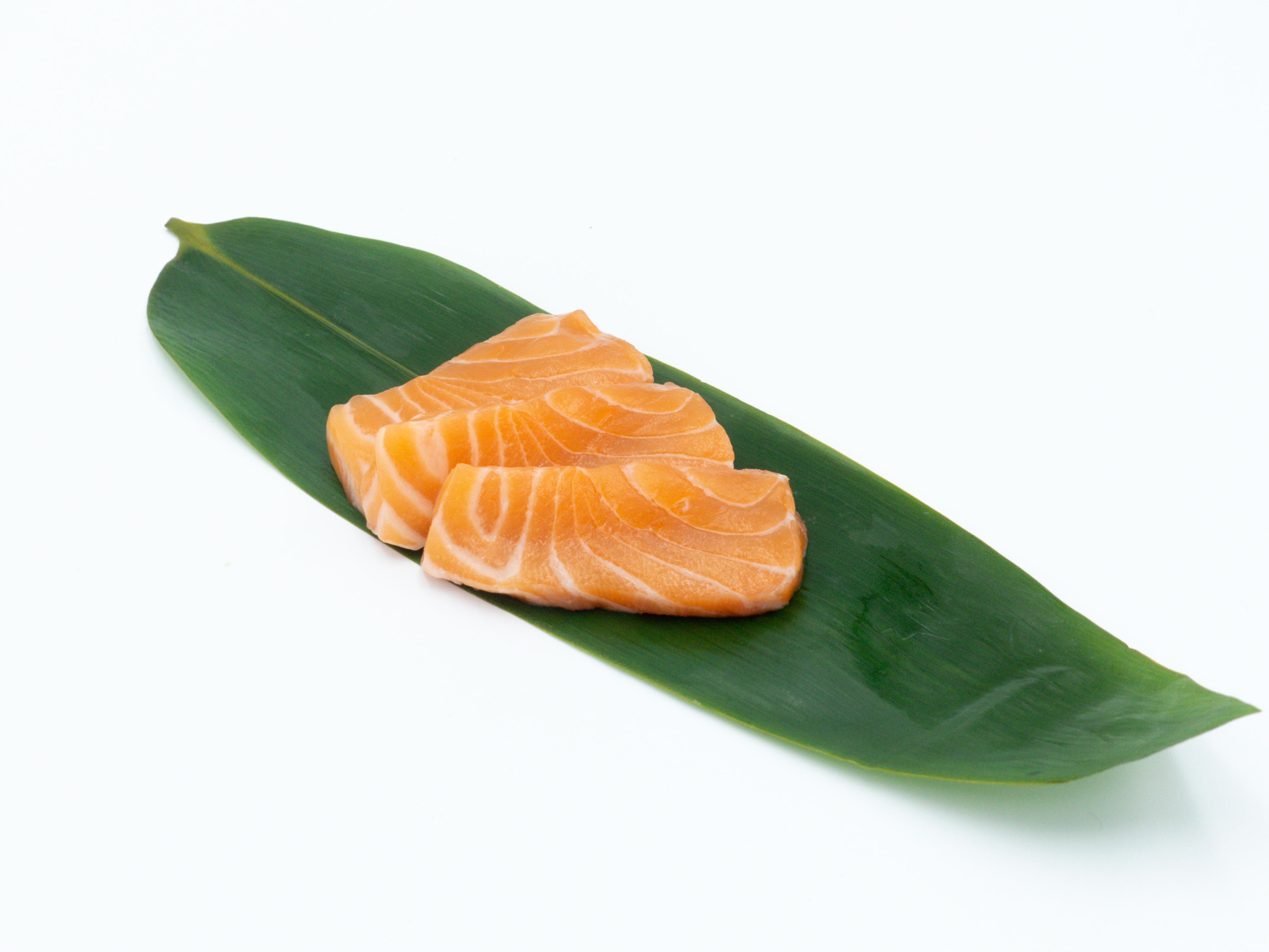 sashimi-salmon